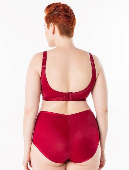 Фото Красный комплект нижнего белья на большой размер груди Sermija, вид сзади